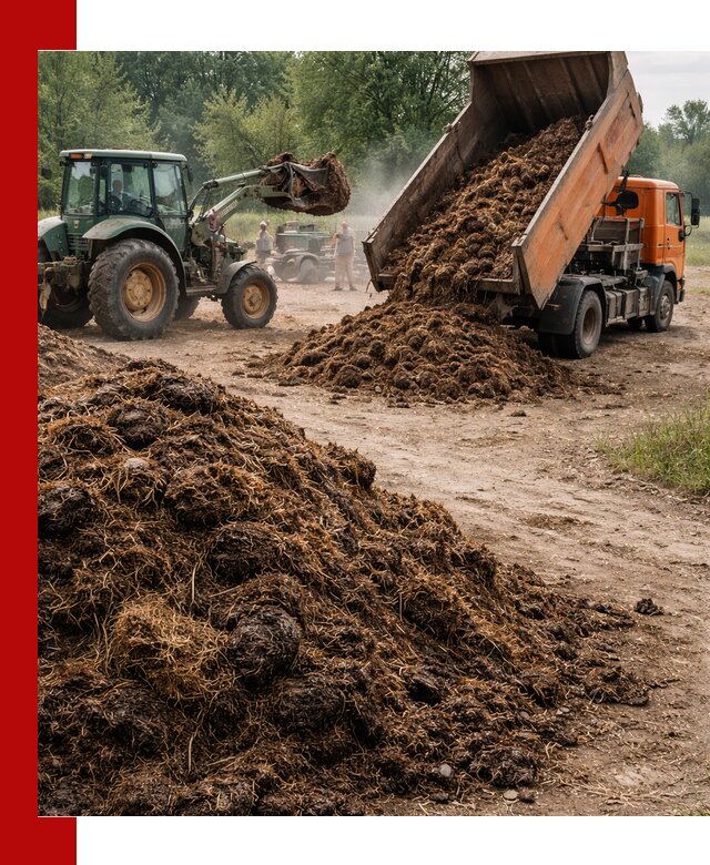 Доставка навоза самосвалами в Устях-Джегуте для сельхозпотребностей